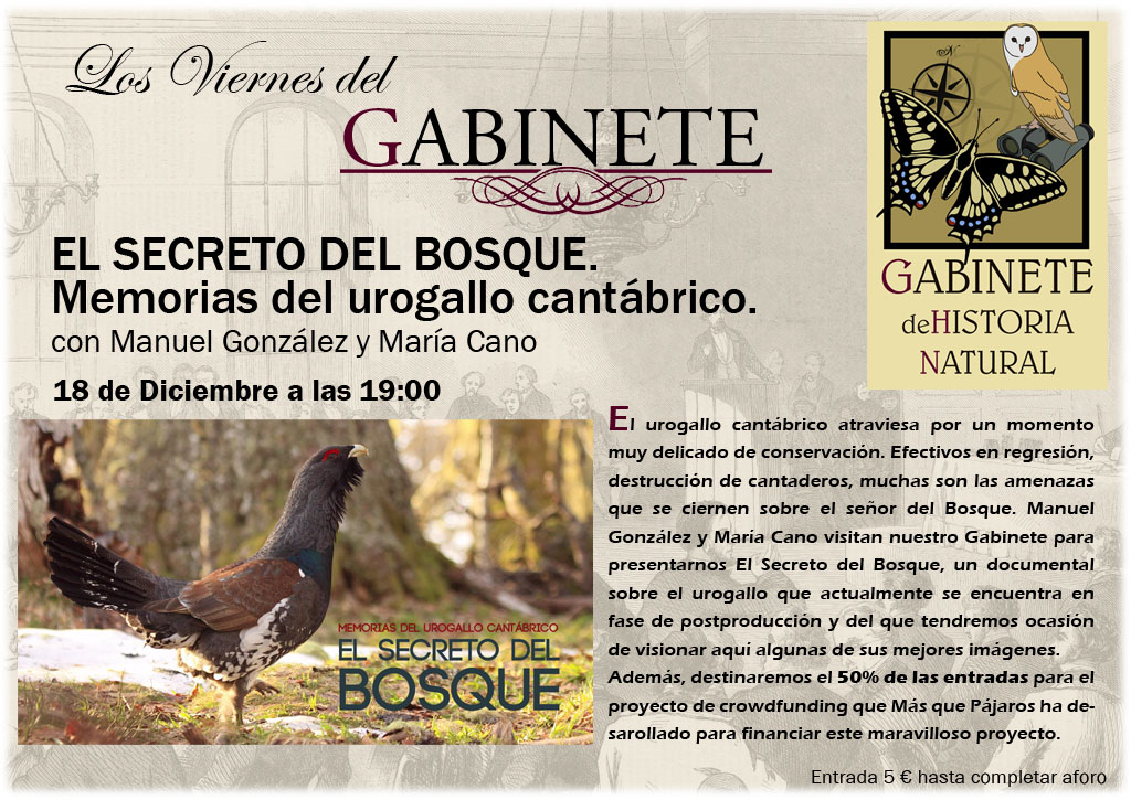 gabinete_historia_natural_urogallo_el_secreto_del_bosque