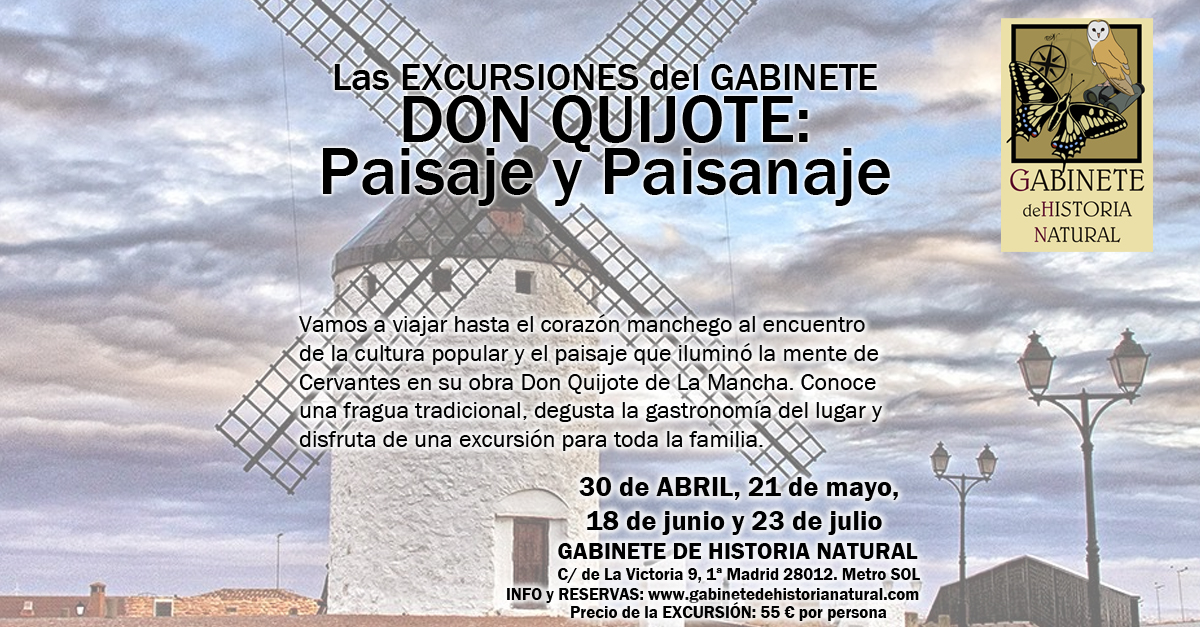 Don Quijote: Paisaje y Paisanaje