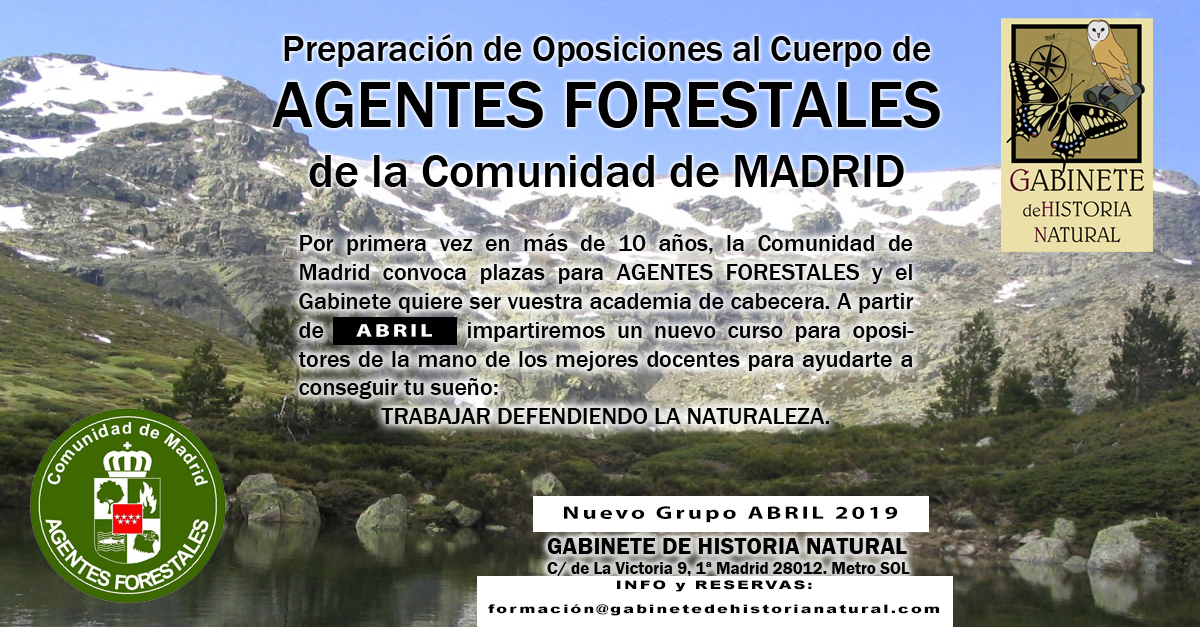 ForestalesABRIL