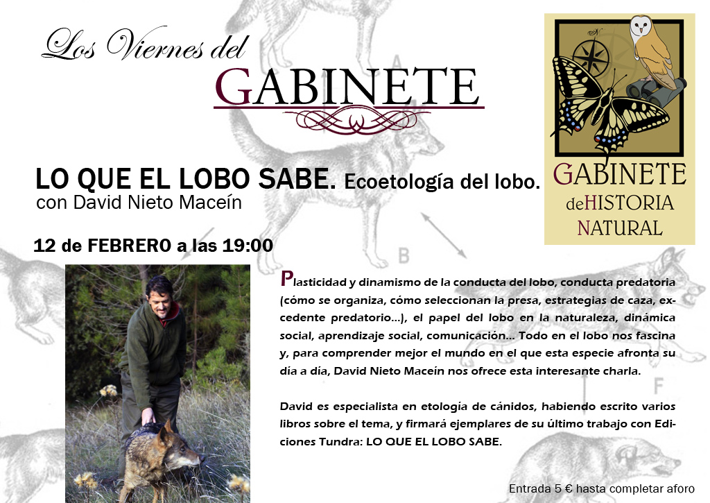Lobo_Sabe_Gabinete_Historia_Natural